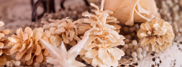 エントリーページ３