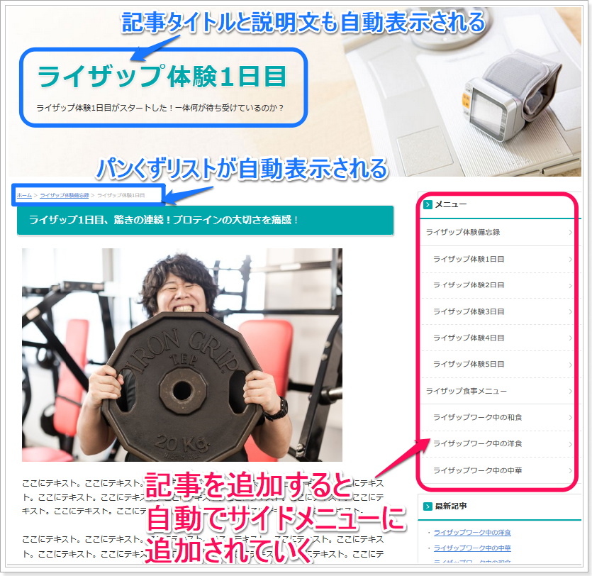 SIRIUS初心者モード,エントリーページの作成,プレビュー
