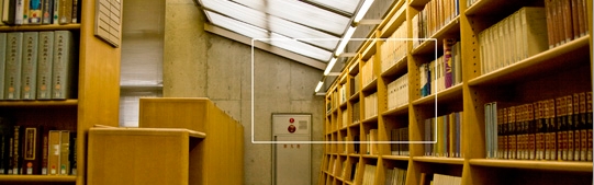 �}�i���T51